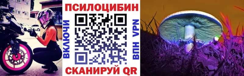 где можно купить наркотик  Владимир  Галлюциногенные грибы GOLDEN TEACHER 